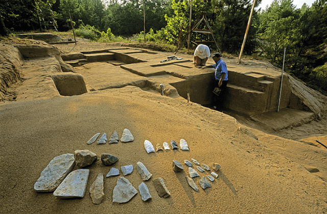 cactus hill virginia