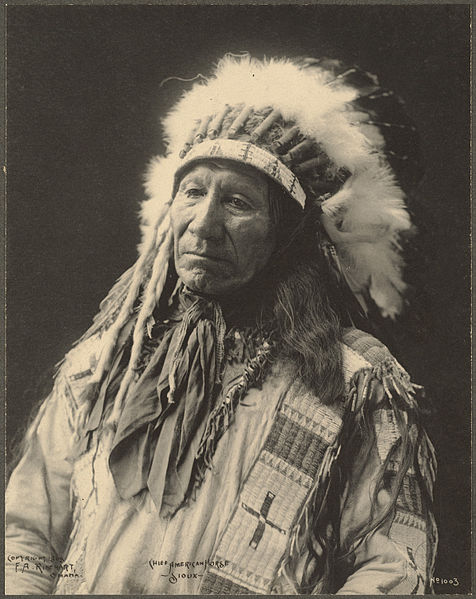 chief American horse